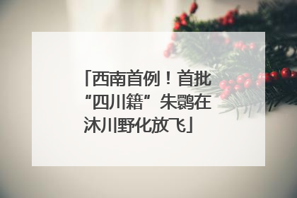 西南首例！首批“四川籍”朱鹮在沐川野化放飞